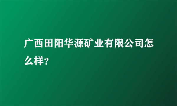 广西田阳华源矿业有限公司怎么样？