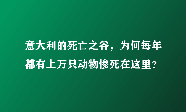 意大利的死亡之谷，为何每年都有上万只动物惨死在这里？