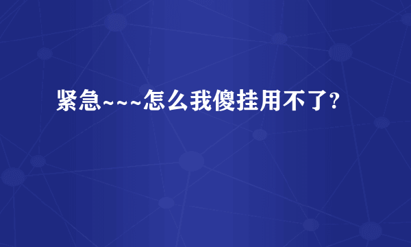 紧急~~~怎么我傻挂用不了?