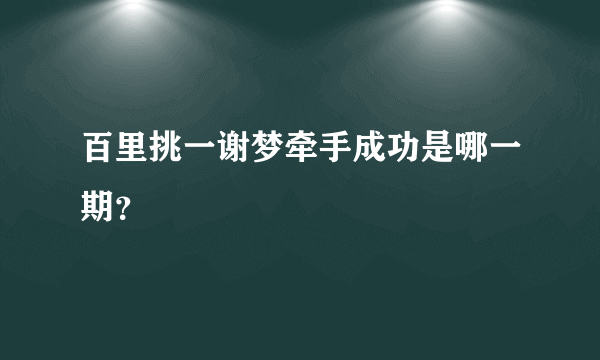 百里挑一谢梦牵手成功是哪一期？