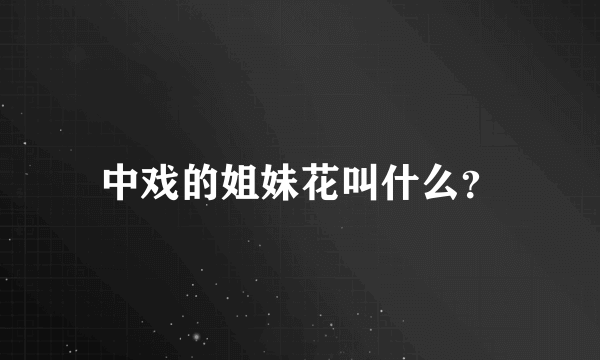 中戏的姐妹花叫什么？