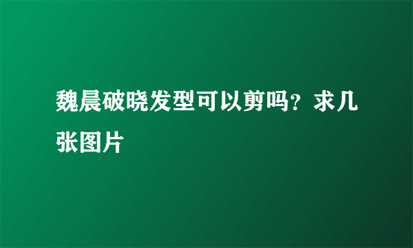 魏晨破晓发型可以剪吗？求几张图片