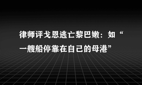 律师评戈恩逃亡黎巴嫩：如“一艘船停靠在自己的母港”