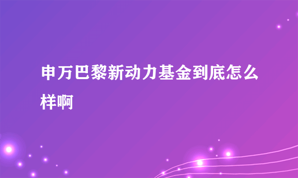 申万巴黎新动力基金到底怎么样啊