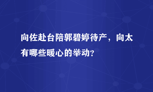 向佐赴台陪郭碧婷待产，向太有哪些暖心的举动？