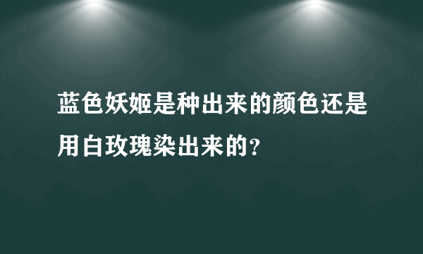 蓝色妖姬是种出来的颜色还是用白玫瑰染出来的？