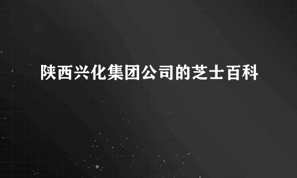 陕西兴化集团公司的芝士百科