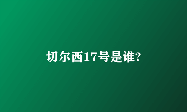 切尔西17号是谁?