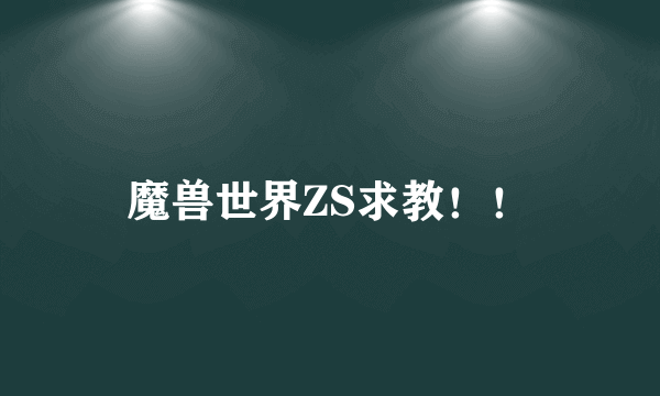 魔兽世界ZS求教！！