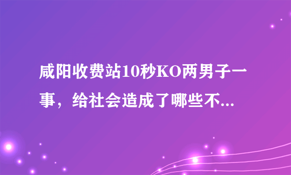 咸阳收费站10秒KO两男子一事，给社会造成了哪些不良影响？