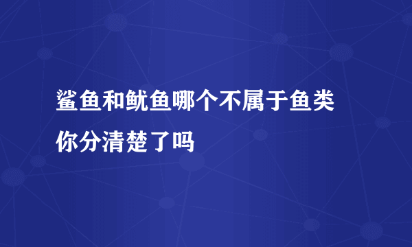 鲨鱼和鱿鱼哪个不属于鱼类 你分清楚了吗