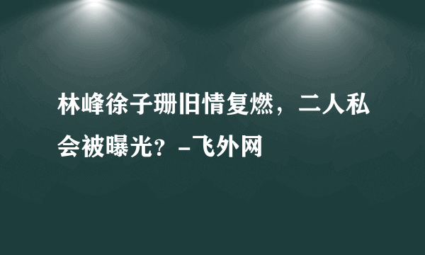 林峰徐子珊旧情复燃，二人私会被曝光？-飞外网