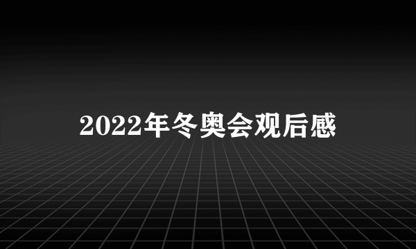 2022年冬奥会观后感