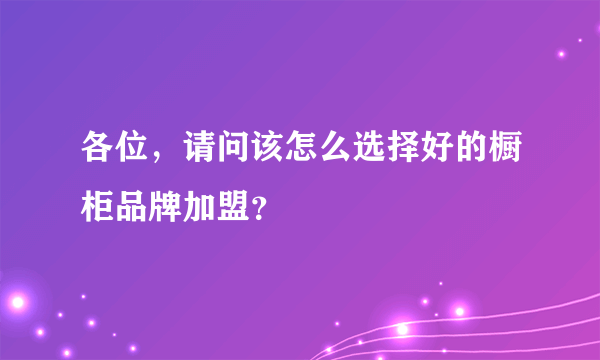 各位，请问该怎么选择好的橱柜品牌加盟？