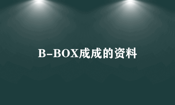 B-BOX成成的资料