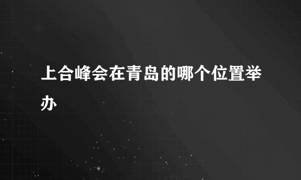 上合峰会在青岛的哪个位置举办