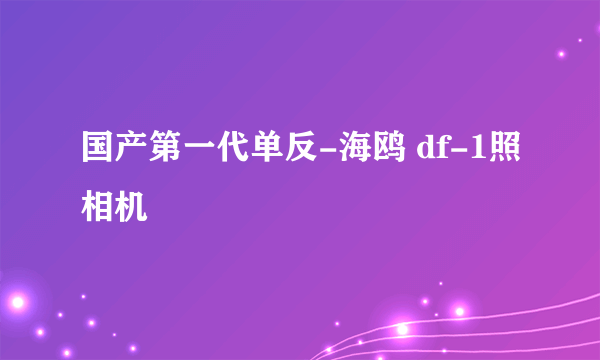 国产第一代单反-海鸥 df-1照相机