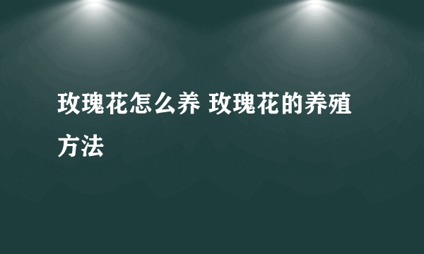 玫瑰花怎么养 玫瑰花的养殖方法