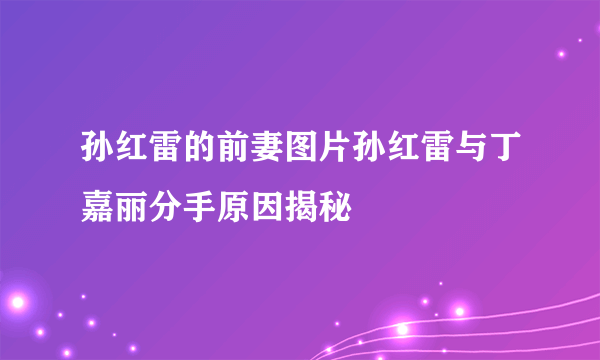 孙红雷的前妻图片孙红雷与丁嘉丽分手原因揭秘