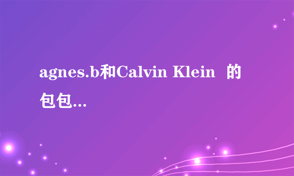 agnes.b和Calvin Klein  的包包.  哪个比较好点....