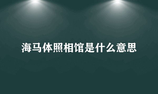 海马体照相馆是什么意思