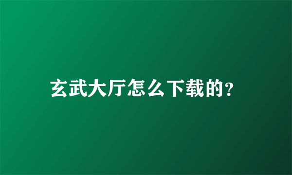 玄武大厅怎么下载的？