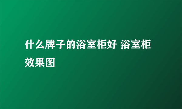 什么牌子的浴室柜好 浴室柜效果图