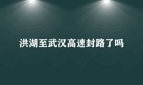 洪湖至武汉高速封路了吗