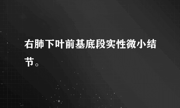 右肺下叶前基底段实性微小结节。