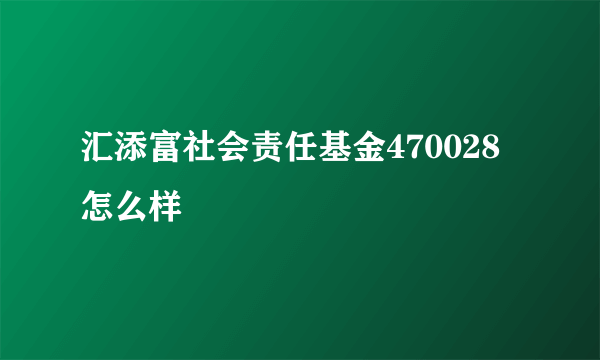 汇添富社会责任基金470028怎么样