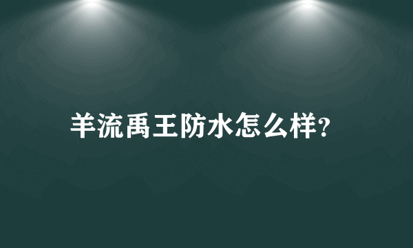 羊流禹王防水怎么样？