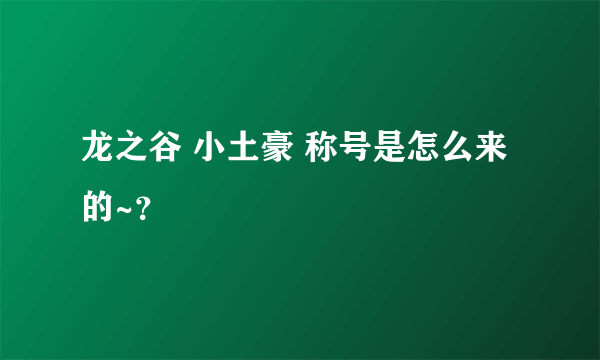 龙之谷 小土豪 称号是怎么来的~？