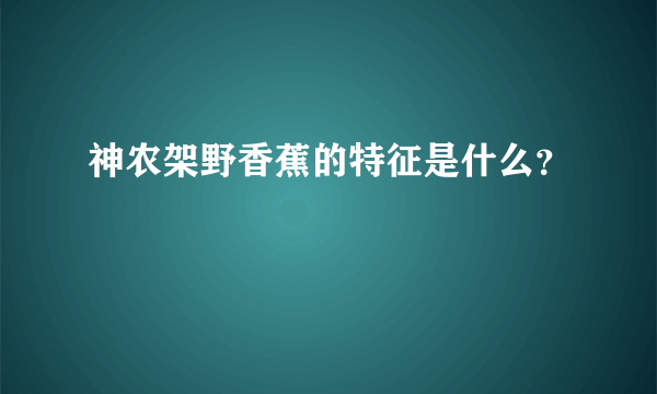 神农架野香蕉的特征是什么？