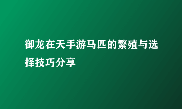 御龙在天手游马匹的繁殖与选择技巧分享