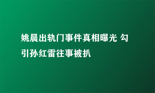 姚晨出轨门事件真相曝光 勾引孙红雷往事被扒