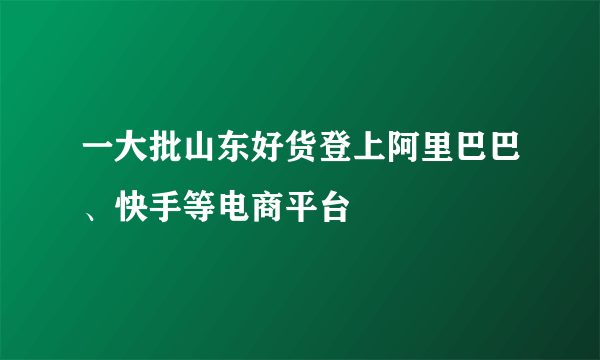 一大批山东好货登上阿里巴巴、快手等电商平台