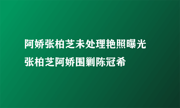 阿娇张柏芝未处理艳照曝光 张柏芝阿娇围剿陈冠希