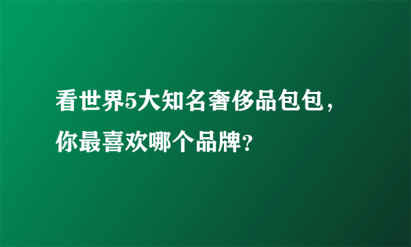 看世界5大知名奢侈品包包，你最喜欢哪个品牌？