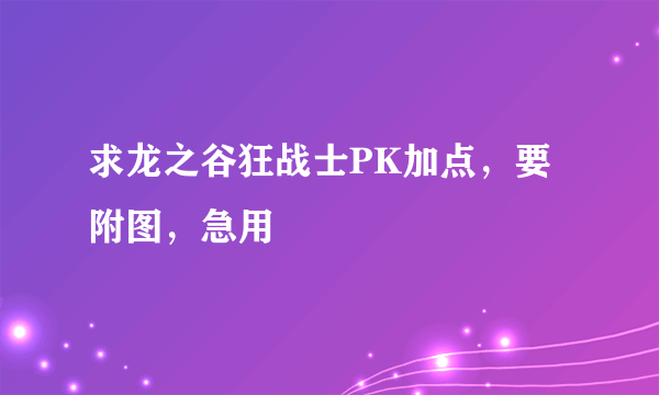 求龙之谷狂战士PK加点，要附图，急用