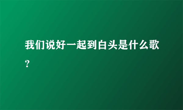 我们说好一起到白头是什么歌？