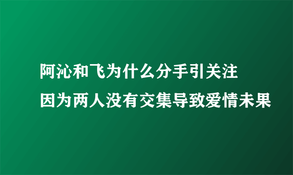 阿沁和飞为什么分手引关注 因为两人没有交集导致爱情未果