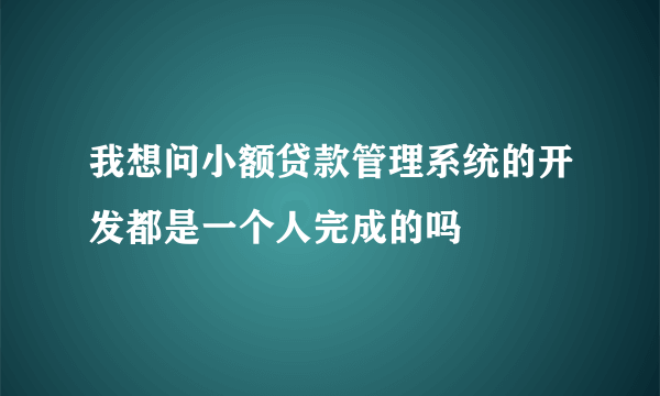 我想问小额贷款管理系统的开发都是一个人完成的吗