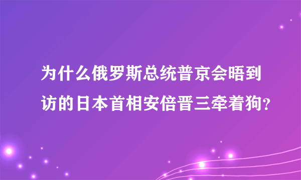 为什么俄罗斯总统普京会晤到访的日本首相安倍晋三牵着狗？