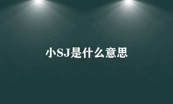 小SJ是什么意思