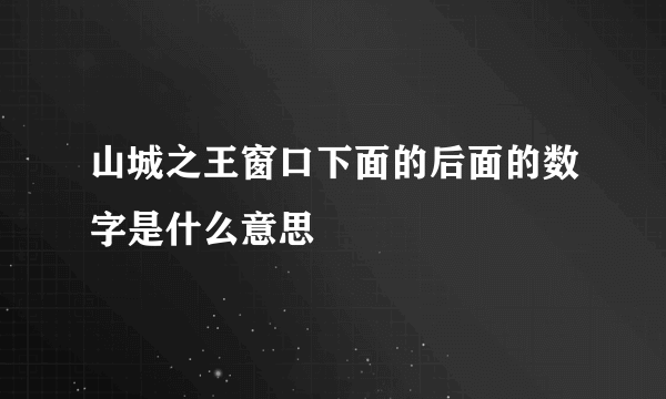 山城之王窗口下面的后面的数字是什么意思