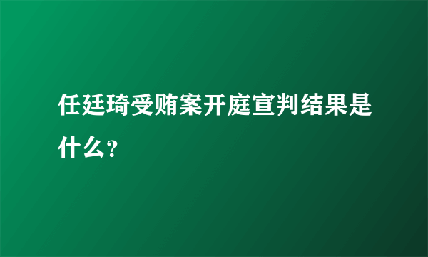 任廷琦受贿案开庭宣判结果是什么？