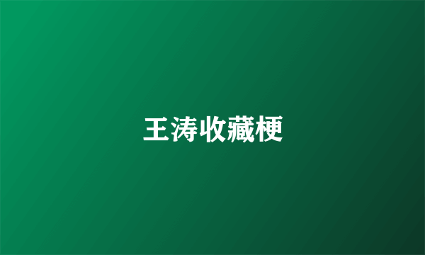 王涛收藏梗