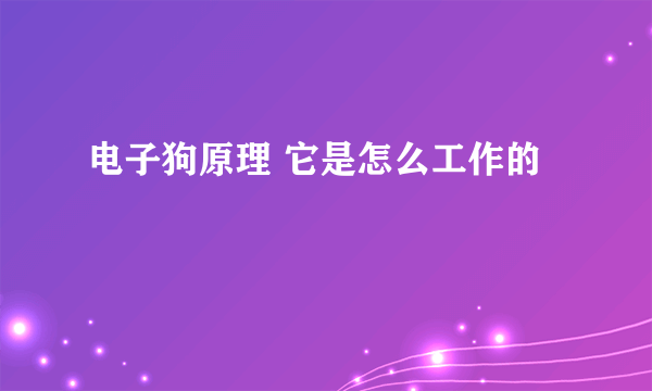 电子狗原理 它是怎么工作的