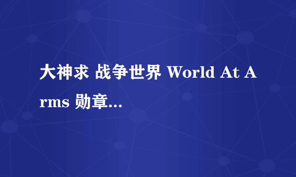 大神求 战争世界 World At Arms 勋章修改方法。。。