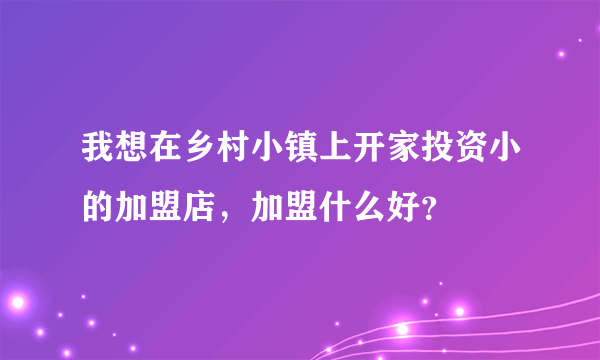 我想在乡村小镇上开家投资小的加盟店，加盟什么好？